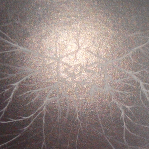 Pokidaiaa Siéviérnyié Ziémli