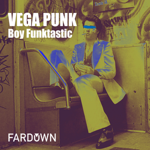 Vega Punk (Original Mix)