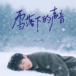 雪落下的声音(而去年我们也牵手一对)