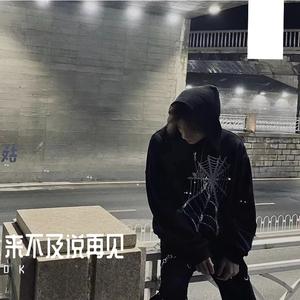 来不及说再见（翻自 艾辰）