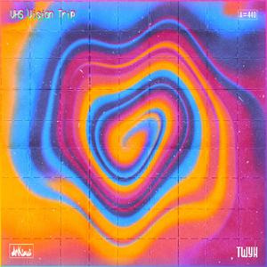 VHS Vision Trip (with Dnksaus)