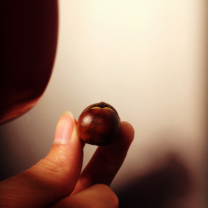 模样（Cover 张悬）