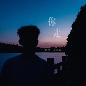 你走（翻自 松紧先生（李宗锦））