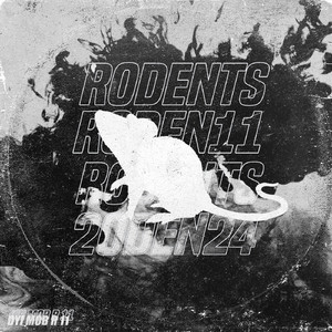 R 11-1 (Original Mix)