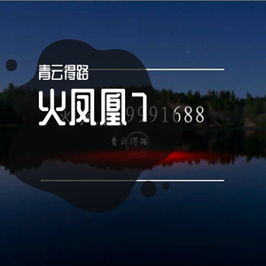 Rec 0041