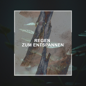 Plätschernde Regenträume