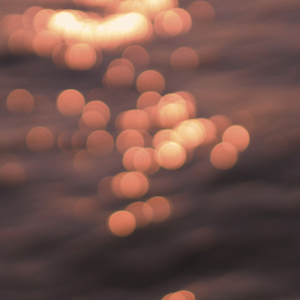 飞 (完整版) (翻自 王恩信Est / 二胖u)