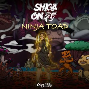 Ninja Toad (Original Mix)