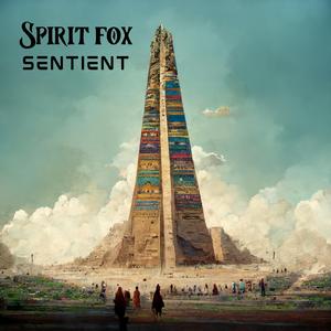 Space Is A Crazy Place