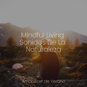 Ecos nostálgicos un viaje melódico