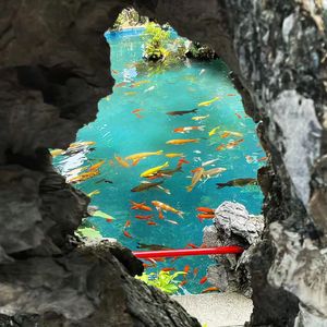 失眠症