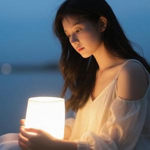 风又吹过眼里的愁 (大头针oo Remix）