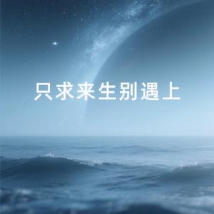 只求来生别遇上