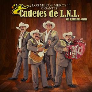 El Palomito (En vivo)