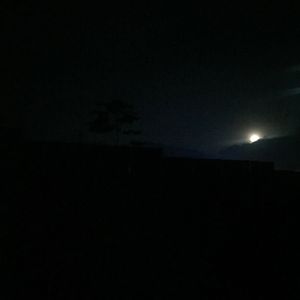 早春梦游星空