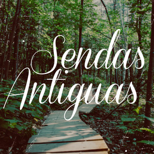 Oh Dios Tu Eres Mi Dios (Sal 63:1-2)