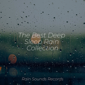 Garden's Melodic Rainfall