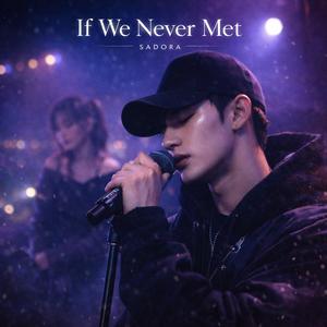 If We Never Met