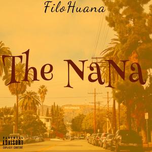 The NaNa