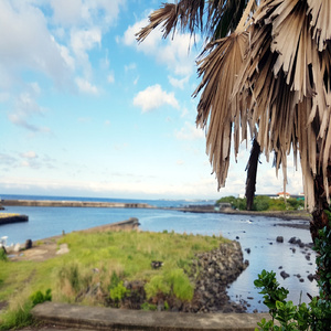 휴식이 필요할 때 듣는 피아노