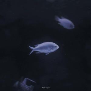 零几年听的情歌