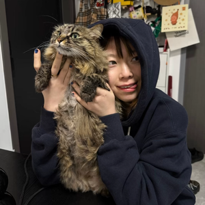 月亮是我抛的硬币