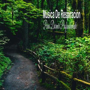 Bosque De Aalan