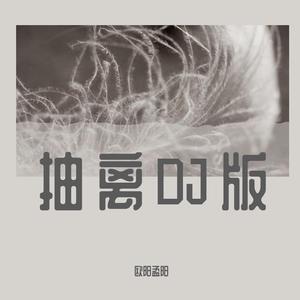 抽离DJ版