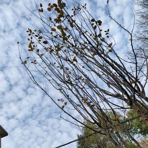 墨染山河绘盛景