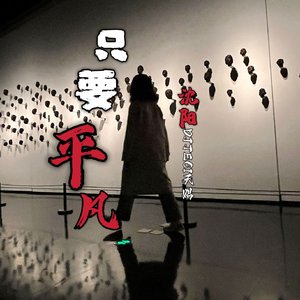 只要平凡DJ