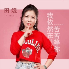 我依然在苦苦等你 (DJ默涵版)