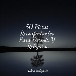 Tomando El Sol en El Playa