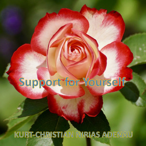 Transform Your Abundance Issues