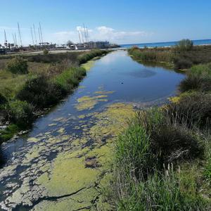 Atados (feat. Joni ortiz)