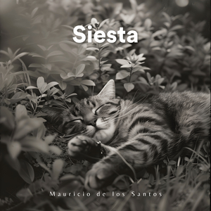 Siesta
