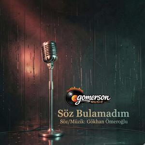 Söz Bulamadım