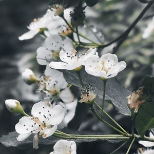 言不由衷与有恃无恐