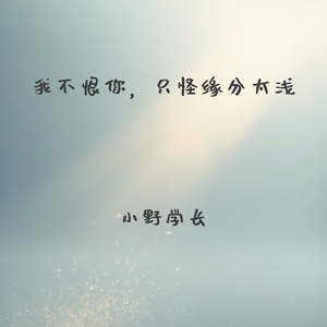 我不恨你，只怪缘分太浅