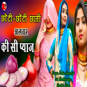 छोटी छोटी छाती अलवर की सी प्याज