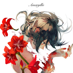 Amaryllis