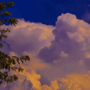 青花（新版）