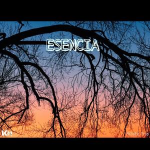 Esencia