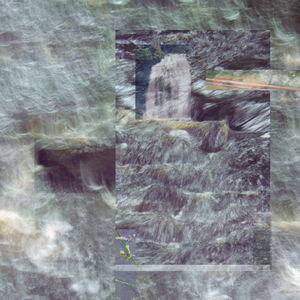 Born to a Fish in the Burn