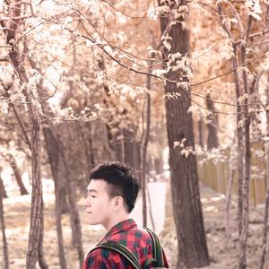 奇妙能力歌（翻自 陈粒）