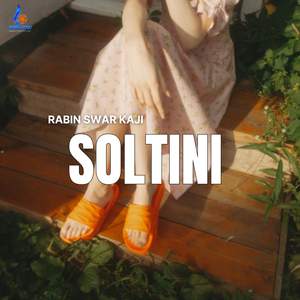 Soltini