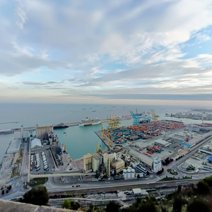Evening at the Harbour