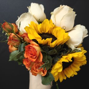 旷野之风的回响