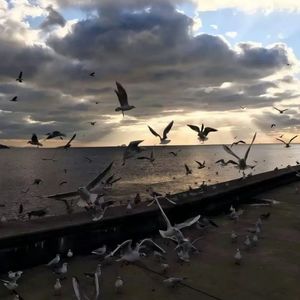 I Walk This Earth All By Myself(Acousticmusic)