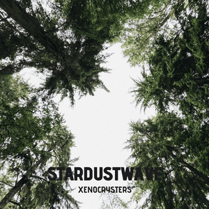 Stardustwave