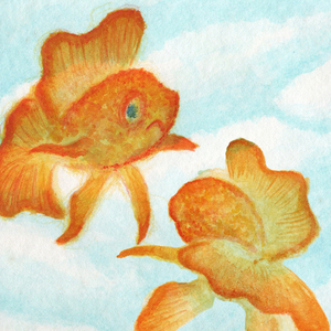Peces